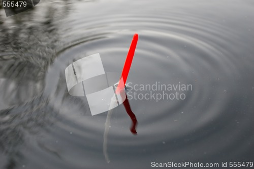 Image of fishing float