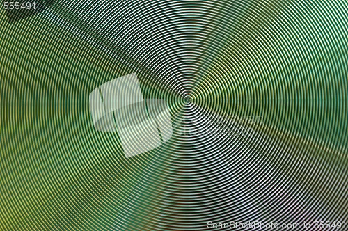 Image of spiral