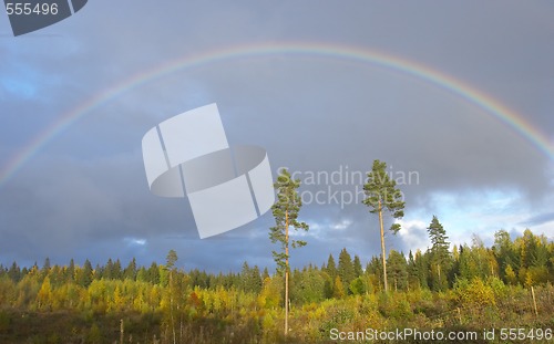Image of rainbow