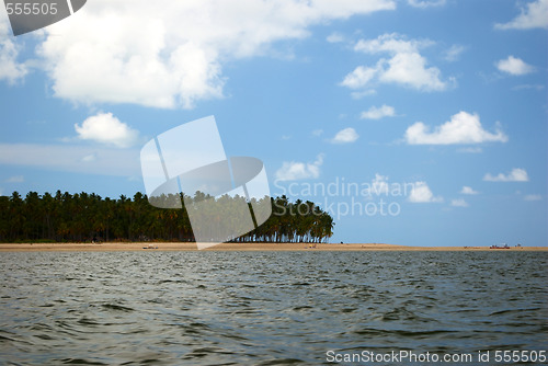 Image of Tropical beach in Brazil 