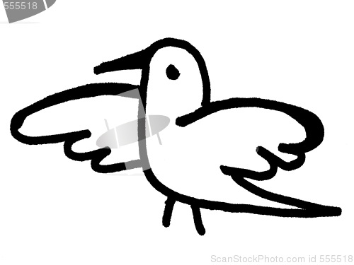 Image of bird