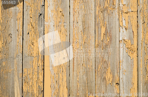 Image of wood background