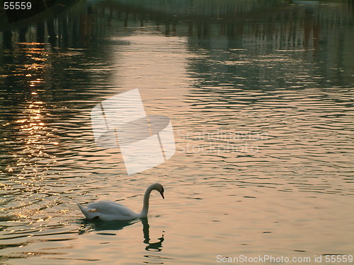 Image of reflecting himself