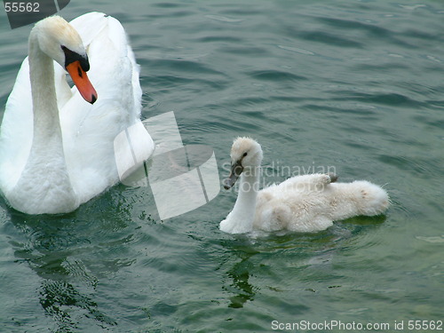 Image of mother & son