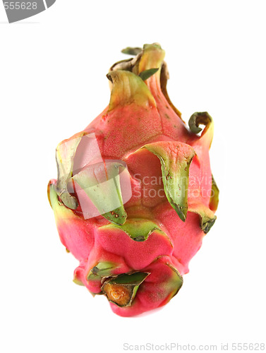 Image of Dragonfruit