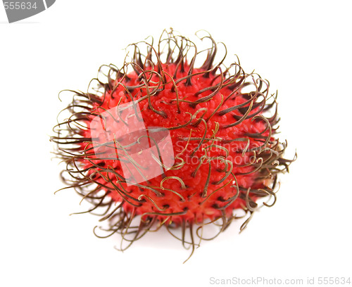 Image of Rambutan