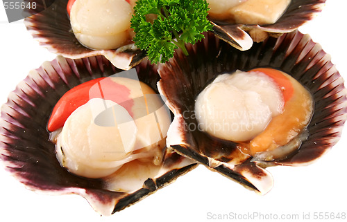 Image of Fresh Scallops