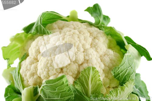 Image of Fresh Cauliflower 4