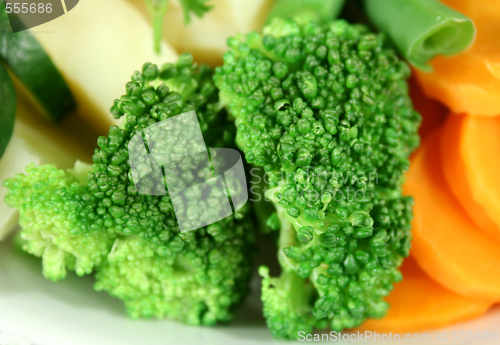 Image of Steamed Broccoli