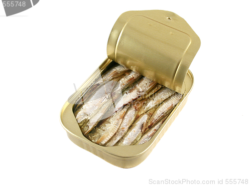 Image of Can Of Sardines