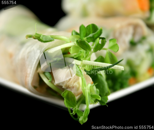 Image of Vietnamese Rice Paper Rolls