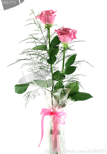 Image of Gift Roses 1