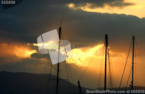 Image of Masts In The Sun 2