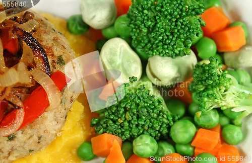 Image of Chicken Patty With Vegetables