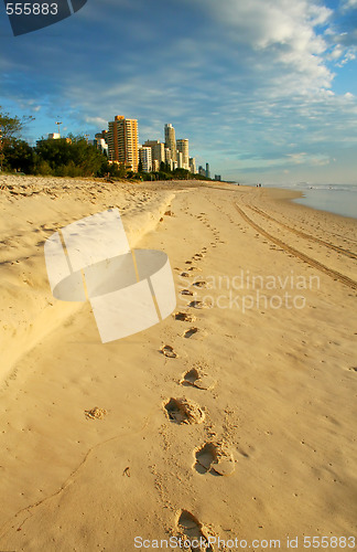 Image of The Way To Surfers Paradise