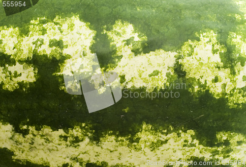 Image of watermelon background