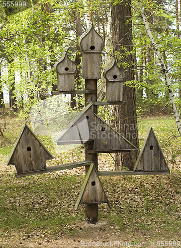 Image of bird house