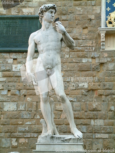 Image of the David