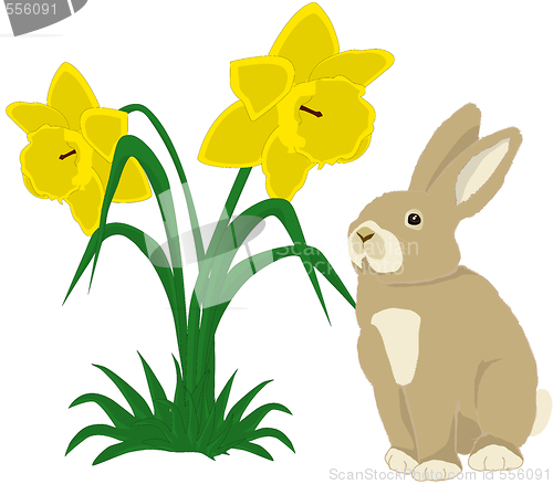 Image of Easter bunny with daffodils