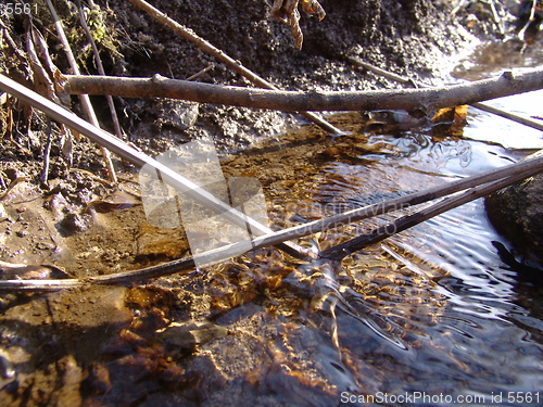 Image of Pond