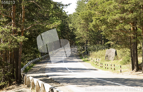 Image of road and forest 