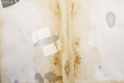 Image of spotted blank