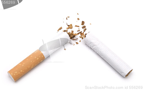 Image of broken cigarette