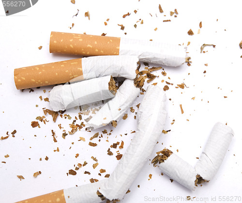 Image of broken cigarettes