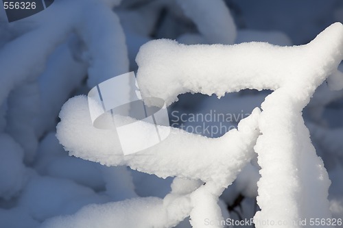 Image of Ice Branch 8