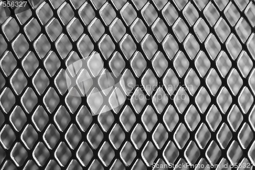 Image of Iron Net Macro