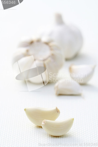 Image of garlic