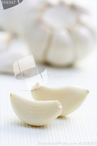 Image of garlic