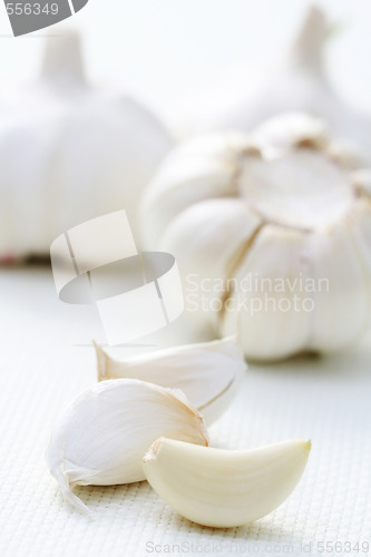 Image of garlic