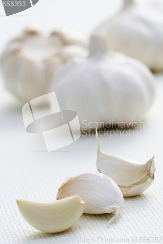 Image of garlic