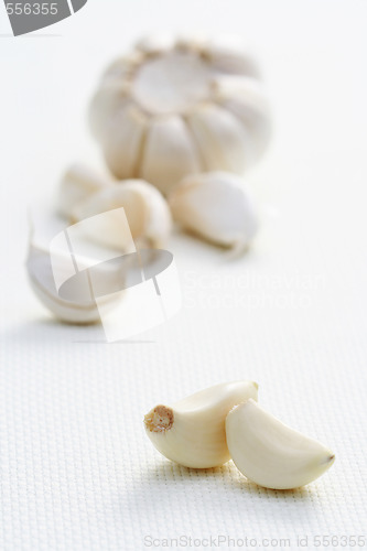 Image of garlic