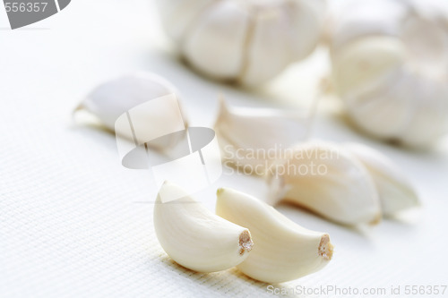 Image of garlic