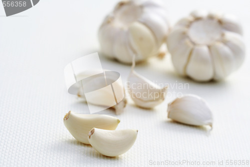 Image of garlic