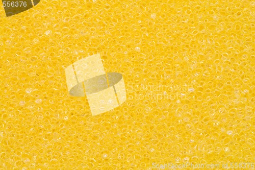 Image of Texture of a Sponge