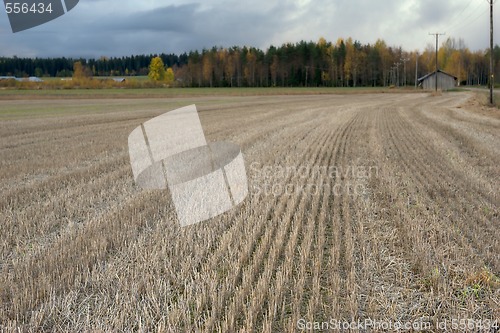 Image of fall field