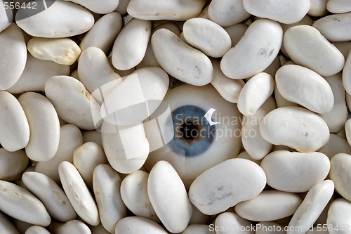 Image of human eye and white haricot beans