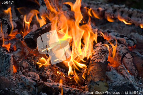 Image of campfire