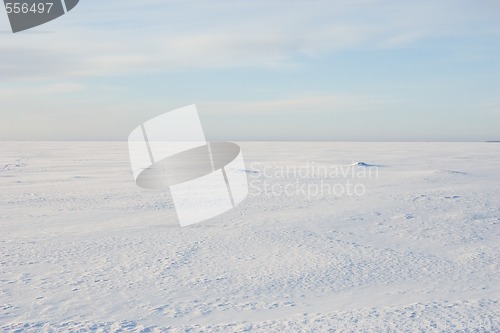 Image of snowy desert
