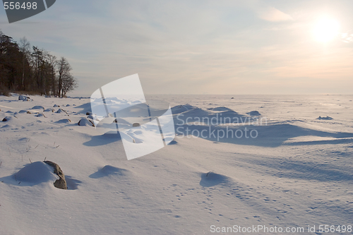 Image of winter sea