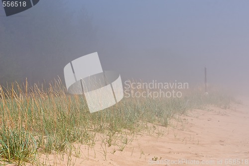 Image of foggy beach