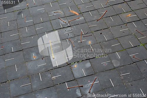 Image of wood pavement