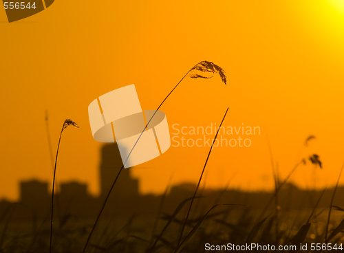 Image of urban sunset