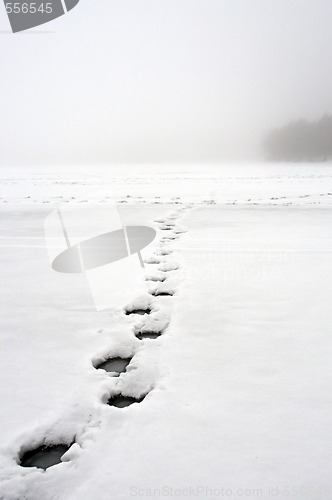 Image of walking on water