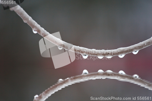 Image of raindrops