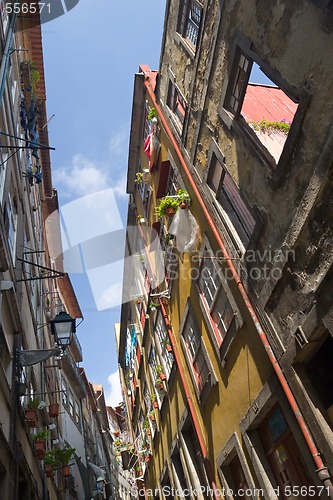 Image of narrow street with flowers