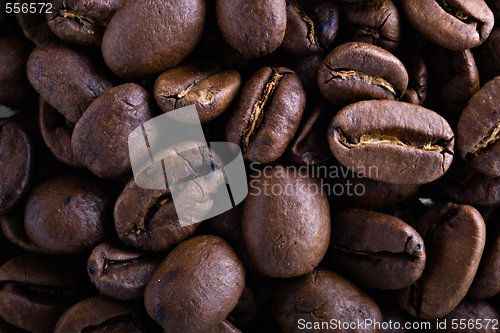 Image of coffee beans